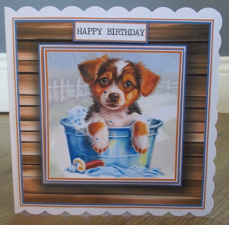 The Doggy Bath Topper Kit  by Johanna Lambert
