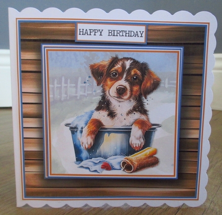 The Doggy Bath Topper Kit  by Johanna Lambert