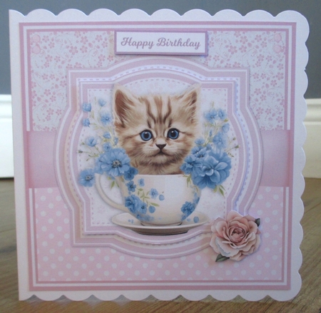 TEACUP KITTENS by Johanna Lambert