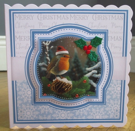 CHRISTMAS ROBINS by Johanna Lambert