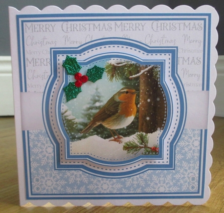 CHRISTMAS ROBINS by Johanna Lambert