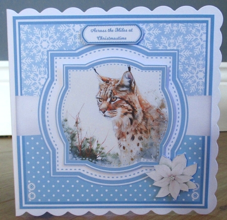 WINTER BOBCATS by Johanna Lambert
