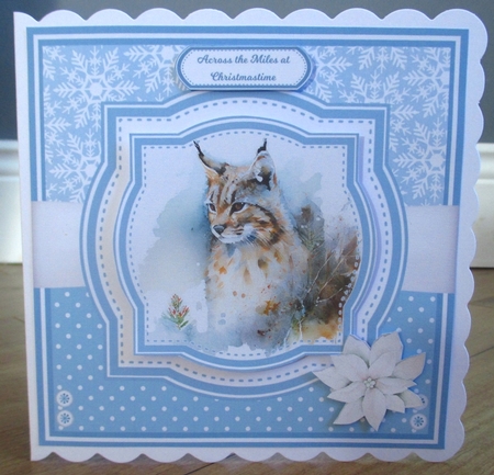 WINTER BOBCATS by Johanna Lambert