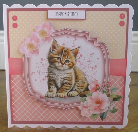Sweet Little Kittens by Johanna Lambert