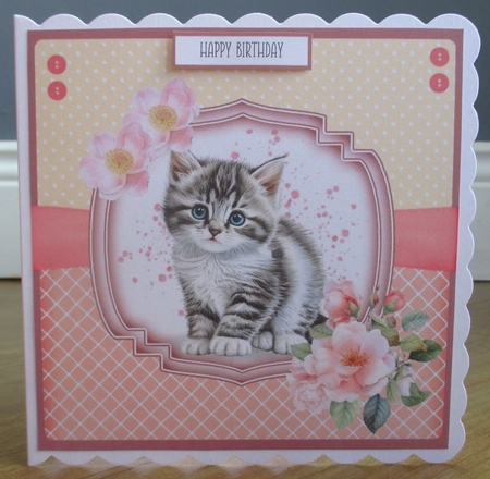 Sweet Little Kittens by Johanna Lambert