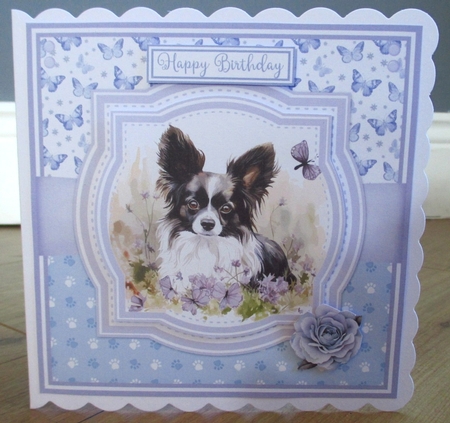 PAPILLON DOGS by Johanna Lambert