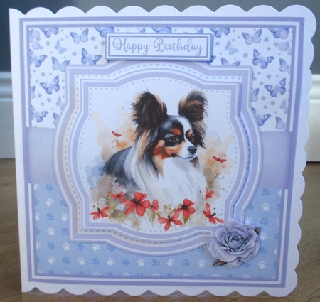 PAPILLON DOGS by Johanna Lambert