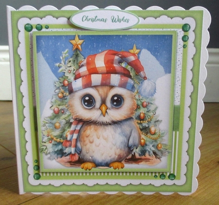 8x8 Mini Kit, Gorgeous Christmas Owl by Johanna Lambert