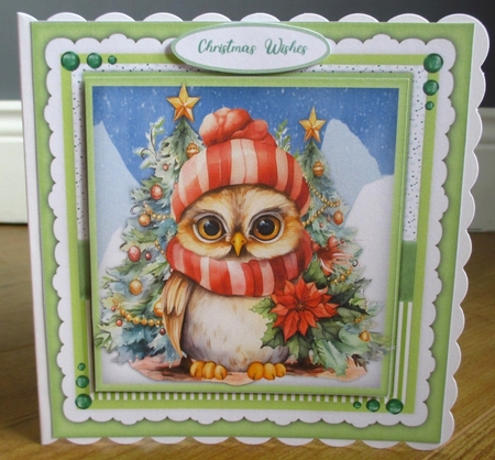 8x8 Mini Kit, Gorgeous Christmas Owl by Johanna Lambert