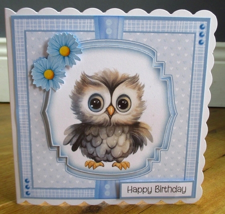Baby Birds by Johanna Lambert
