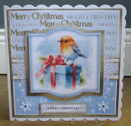 Birds at Christmas by Johanna Lambert