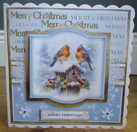 Birds at Christmas by Johanna Lambert