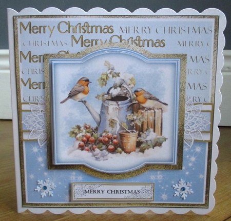 Birds at Christmas by Johanna Lambert