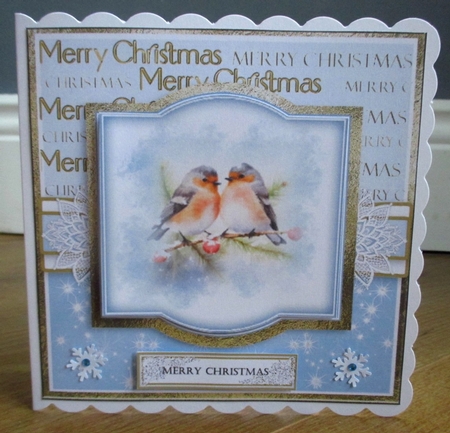 Birds at Christmas by Johanna Lambert