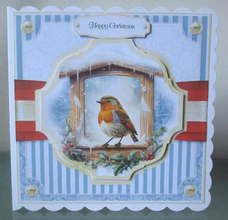 Robin Red Breast by Johanna Lambert