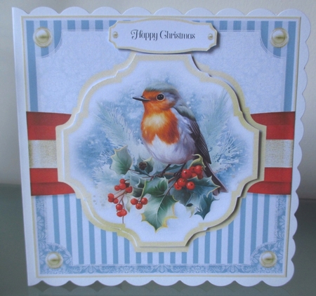 Robin Red Breast by Johanna Lambert