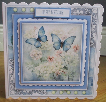 8x8 Mini Kit, Gorgeous Butterflys Garden by Johanna Lambert