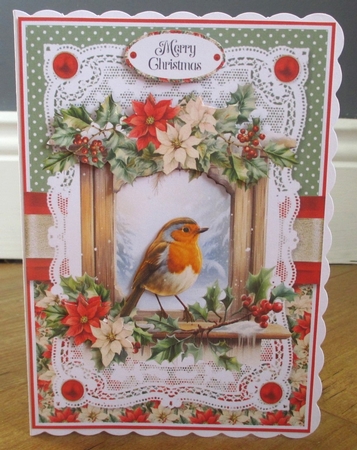 Robins and Poinsettias 7x5 inch by Johanna Lambert