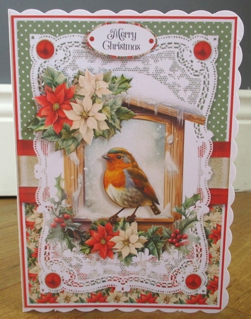 Robins and Poinsettias 7x5 inch by Johanna Lambert