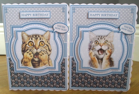 SHOCKED CATS by Johanna Lambert