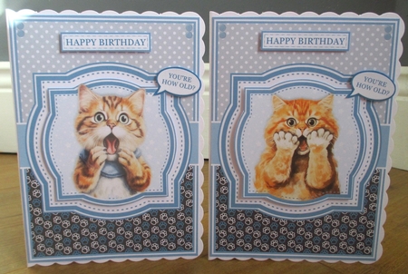SHOCKED CATS by Johanna Lambert