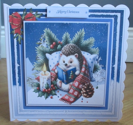 8x8 Mini Kit, Gorgeous Hedgehogs Present by Johanna Lambert