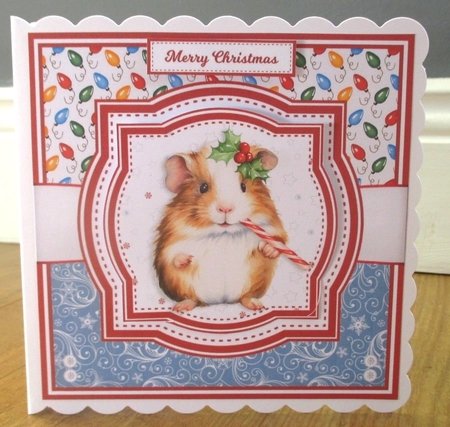 CHRISTMAS GUINEA PIGS by Johanna Lambert