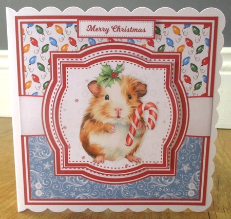 CHRISTMAS GUINEA PIGS by Johanna Lambert