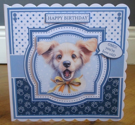 SHOCKED DOGS by Johanna Lambert