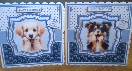 SHOCKED DOGS by Johanna Lambert