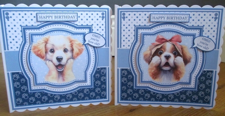 SHOCKED DOGS by Johanna Lambert