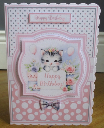 BIRTHDAY CATS by Johanna Lambert