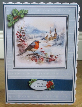 A5 Winter Birds Kit by Johanna Lambert