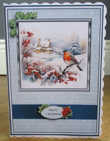 A5 Winter Birds Kit by Johanna Lambert