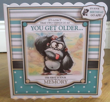 Its Your Birthday Go Ape! by Johanna Lambert