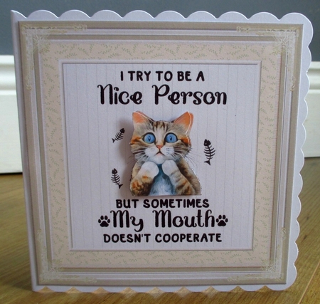 Fun animal decoupage 7x7ins toppers x 6 & 2 x Inserts kit 1 by Johanna Lambert