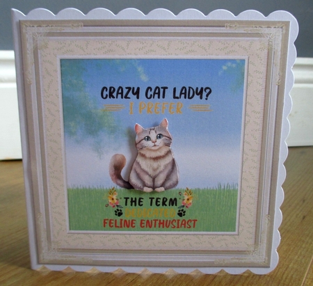 Fun animal decoupage 7x7ins toppers x 6 & 2 x Inserts kit 1 by Johanna Lambert