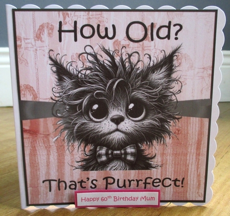 Purrfect Birthday  by Johanna Lambert
