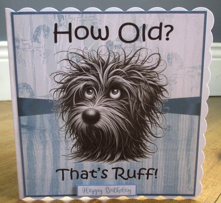 Ruff Birthday  by Johanna Lambert