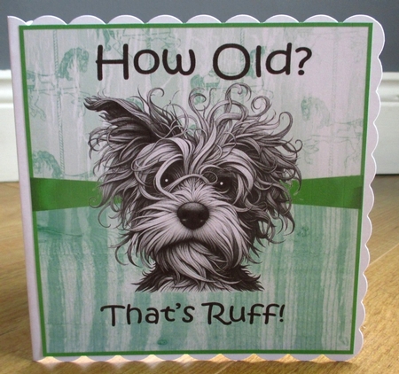 Ruff Birthday  by Johanna Lambert