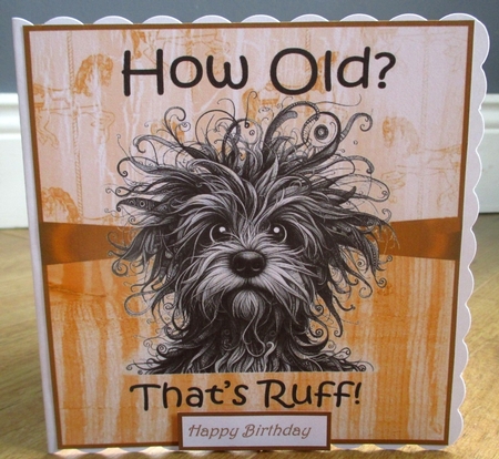 Ruff Birthday  by Johanna Lambert