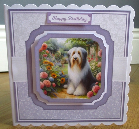 BEARDED COLLIE by Johanna Lambert