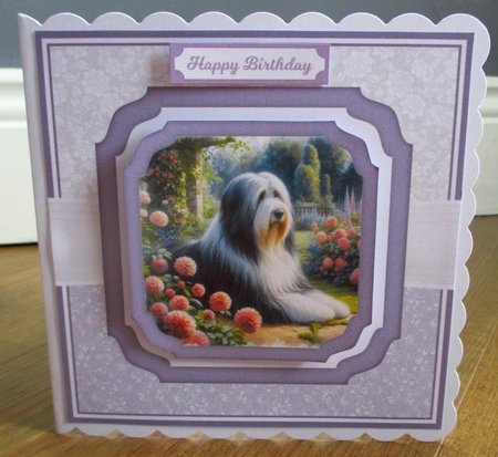 BEARDED COLLIE by Johanna Lambert