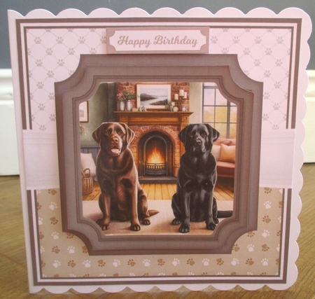 LABRADORS by Johanna Lambert