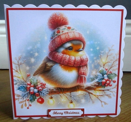 Festive Robin by Johanna Lambert