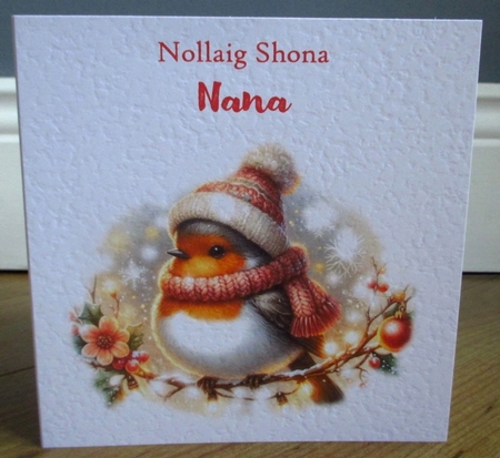 Festive Robin by Johanna Lambert