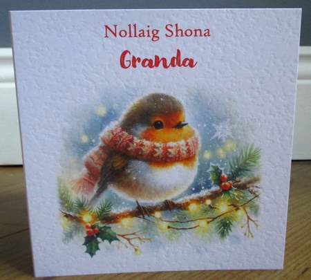 Festive Robin by Johanna Lambert