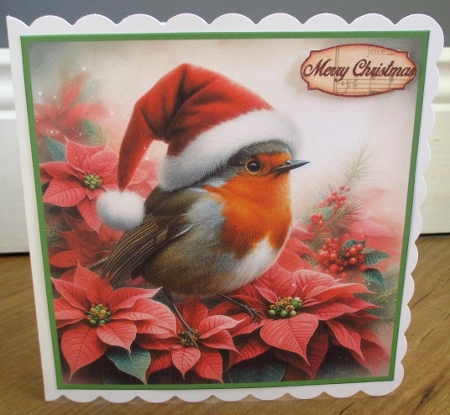 Poinsettia robin background 1 by Johanna Lambert