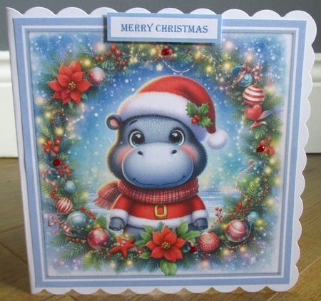 Christmas Hippo by Johanna Lambert