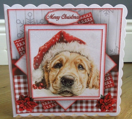 A  Dogs Christmas Mini Kit by Johanna Lambert